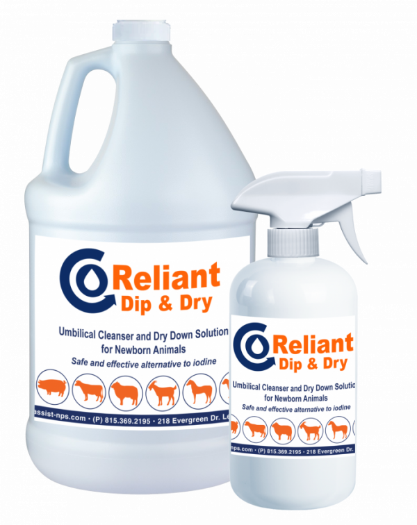 Reliant Dip & Dry Assist Natural Products and Services LLC